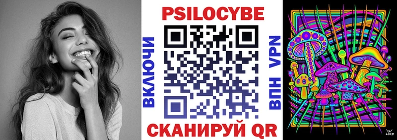 хочу   Ачхой-Мартан  Псилоцибиновые грибы GOLDEN TEACHER 